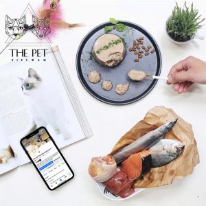 z7340130715551 d683fc184325e9cb36134bc665c6de13