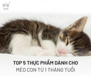 z7357186623939 e78a16495fd6164f65dc801059ac7281