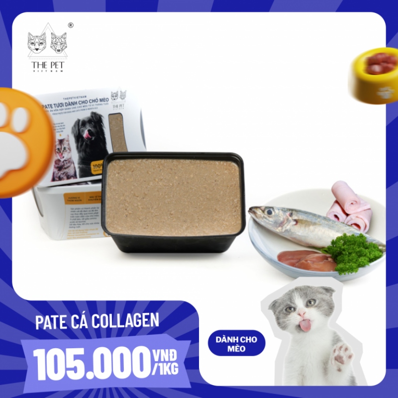 Pate cá collagen - Bữa ăn dành riêng cho mèo rụng lông nhiều