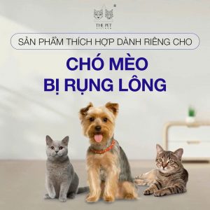 z7409759586787 5d7e6de06e329b9292a52c701bff2dc7