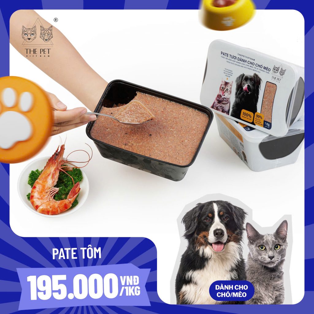 z7426781472342 8429837495000ebe60b03ead65e7e13c