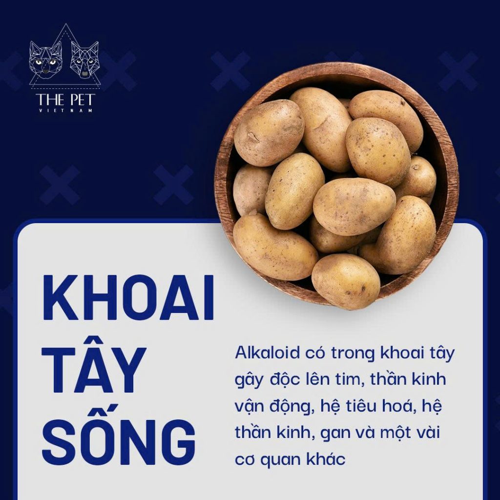 z7433349960711 9a7b221d8032f3ecc0c8a073d2224464