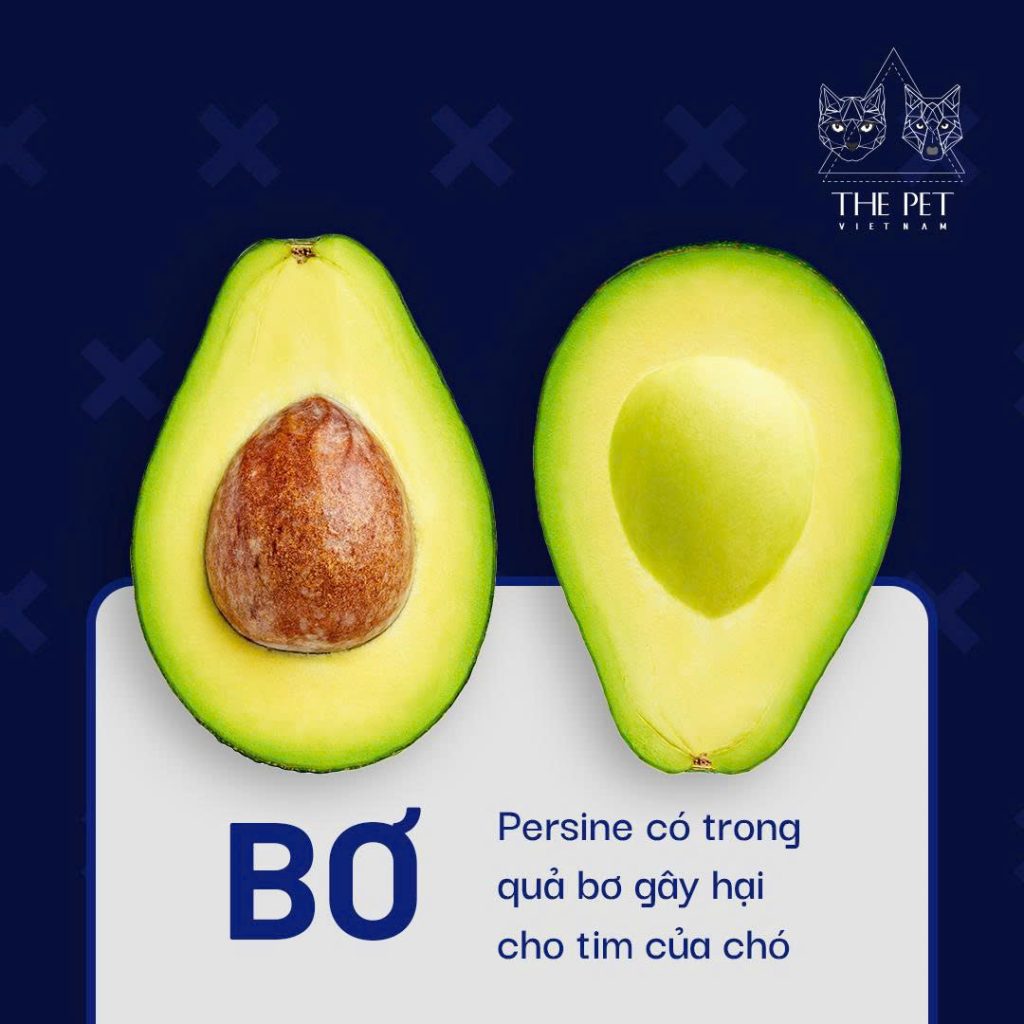 z7433350003158 2a696fac7984e7f39d620afe4e9a3f10