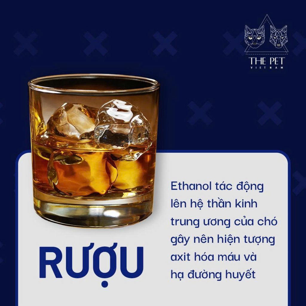 z7433350045203 2a18968f88b390503a547c3eee4992ce