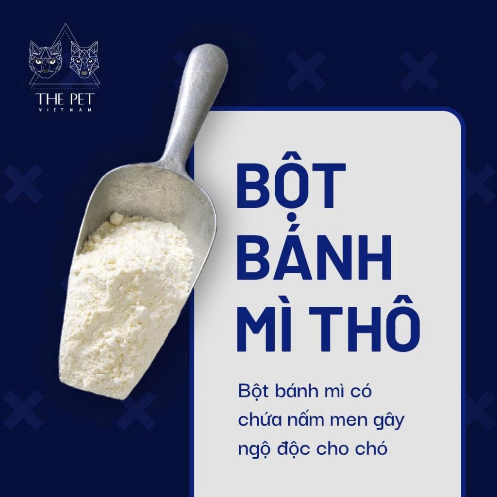 z7433350090236 cffc6a9caf4a5386b299f04993547222