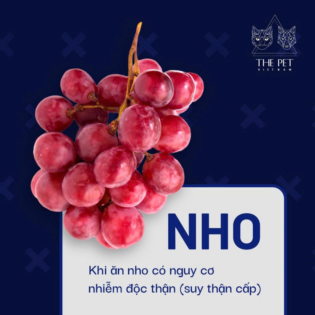 z7433350124354 6b7e05be3b04abdaec41cd485fe82c72