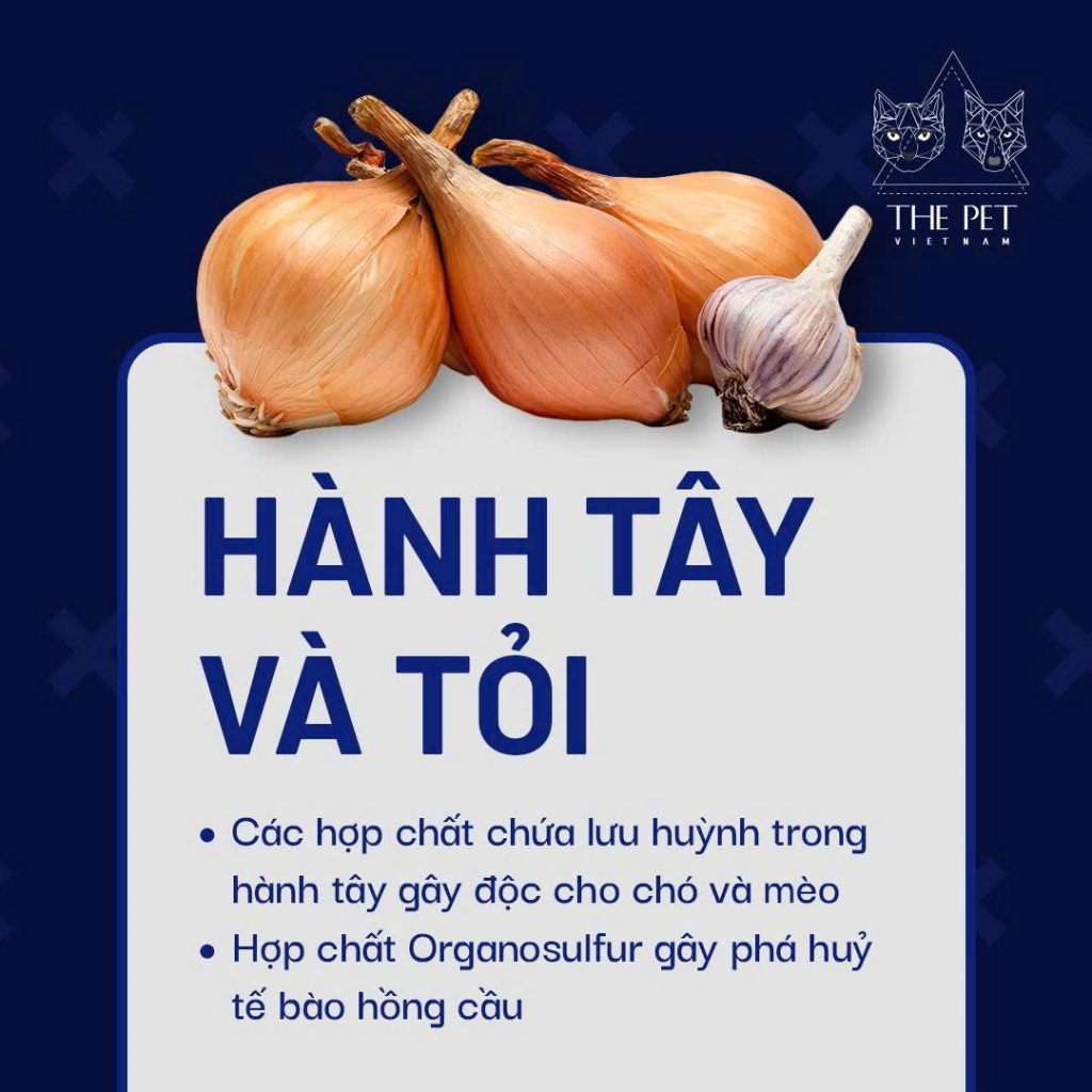 z7433350177607 0483d847c4cff229890ae6e085628659