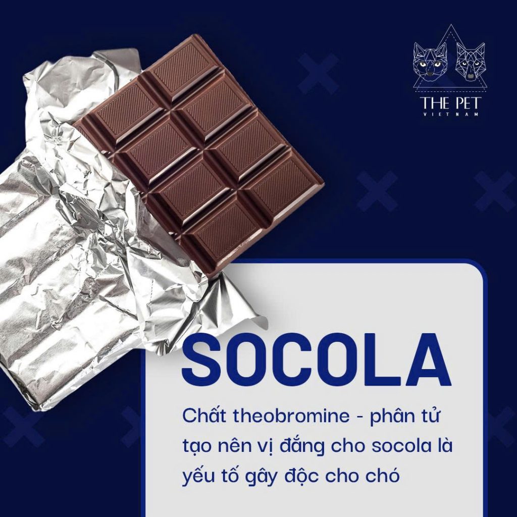 z7433350230909 ab05b38cddf95c69903a676d5f819399