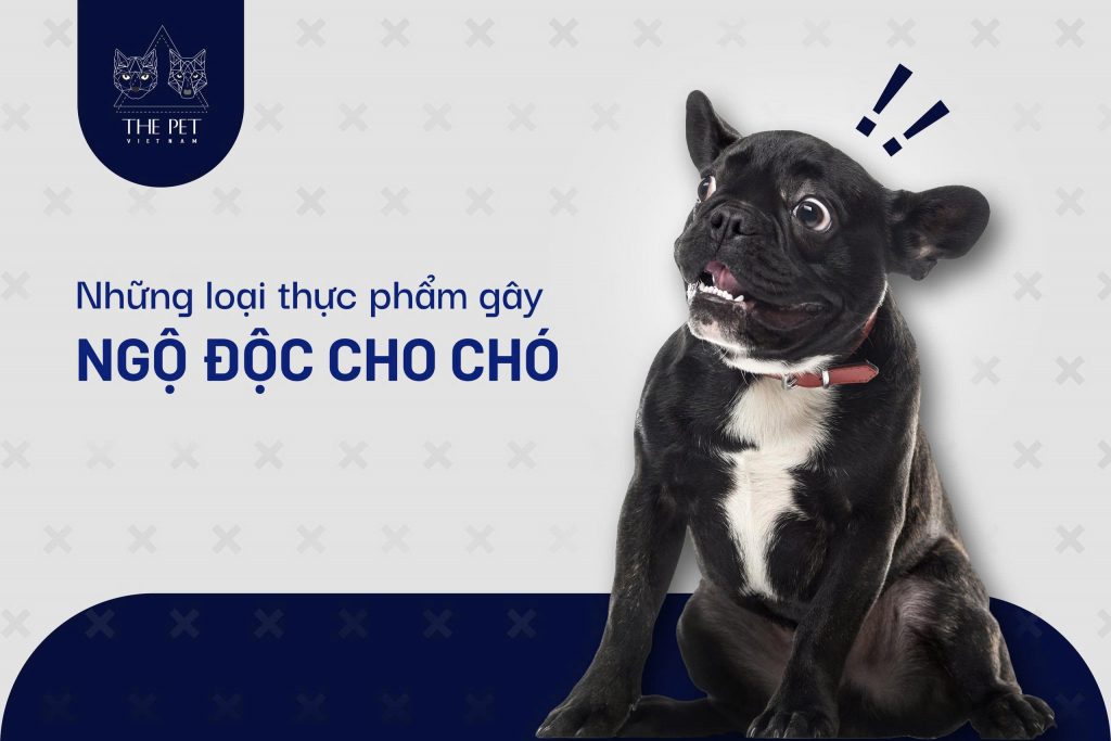 z7433350306482 c4ac7d192ecfeb407afad016e5e46816