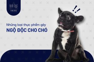 z7433350306482 c4ac7d192ecfeb407afad016e5e46816