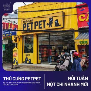 z7446403899331 6558929f39b3f04a2cec034b2fc09128