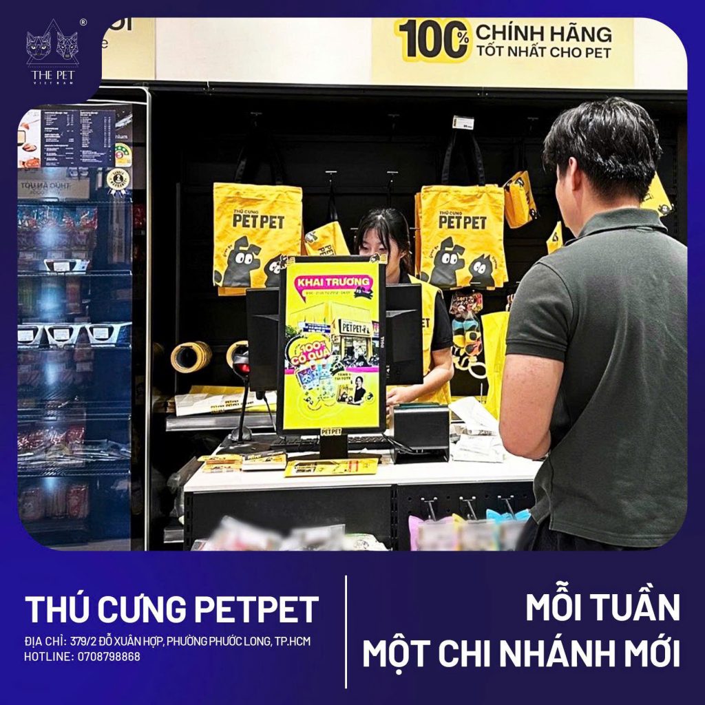 z7446403902718 64357a8273b737249623f29e5fd050d5