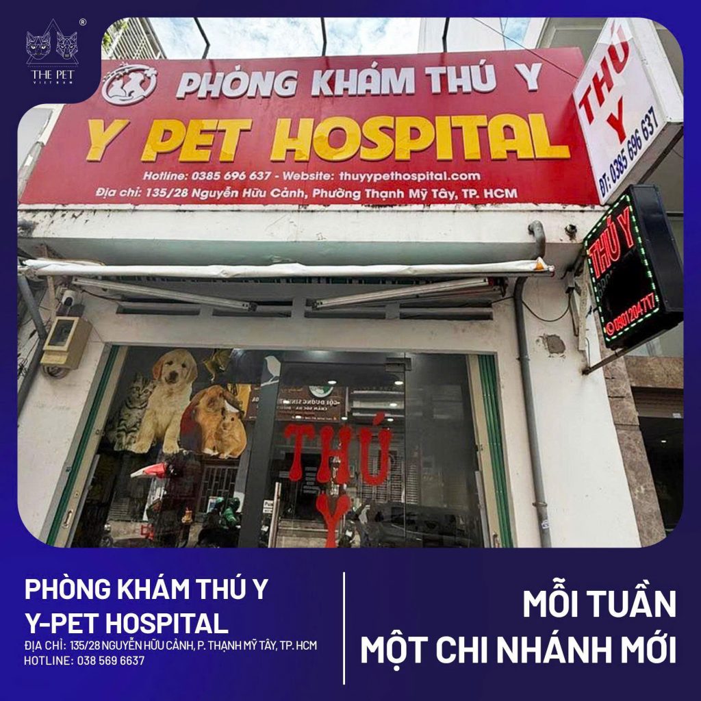 z7468794850950 a9aed4012e516293db7bd63beab1b351