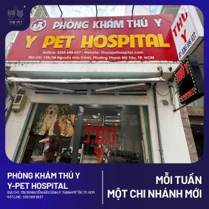 z7468794850950 a9aed4012e516293db7bd63beab1b351