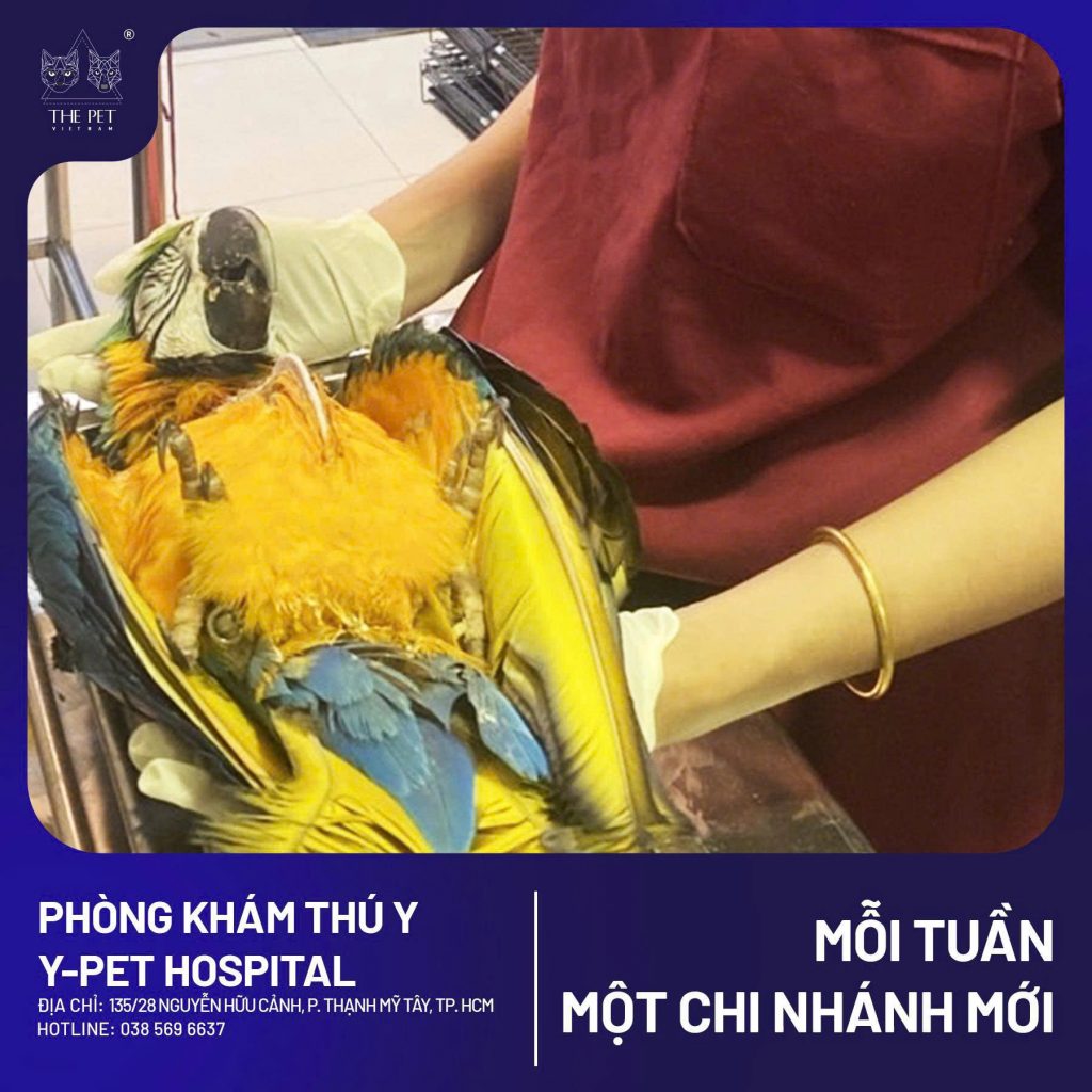 z7468794865362 b9d7c5ad74e5f81237b522f748eff4eb