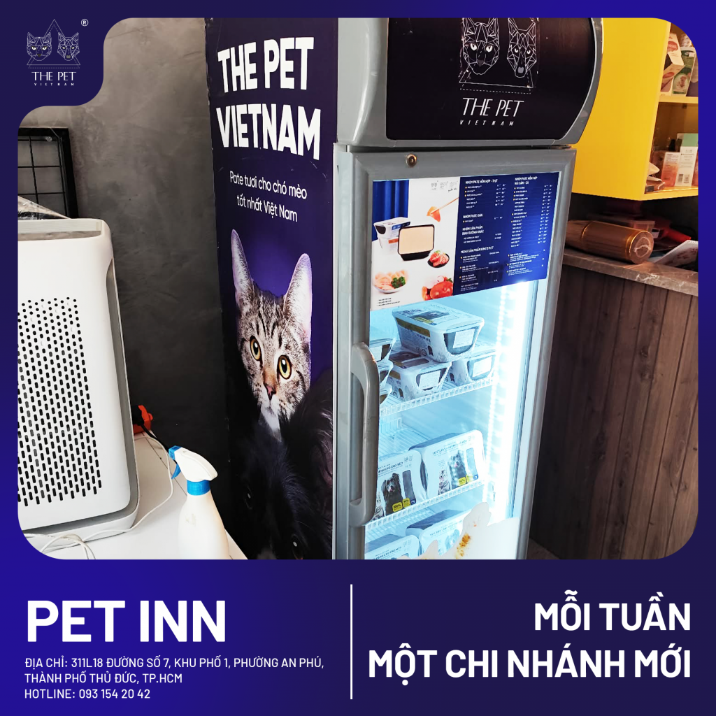 "MỖI TUẦN MỘT CHI NHÁNH" Pet Inn Hotel & Grooming khai xuân rộn ràng tại An Phú – TP. Thủ Đức 4 6 2