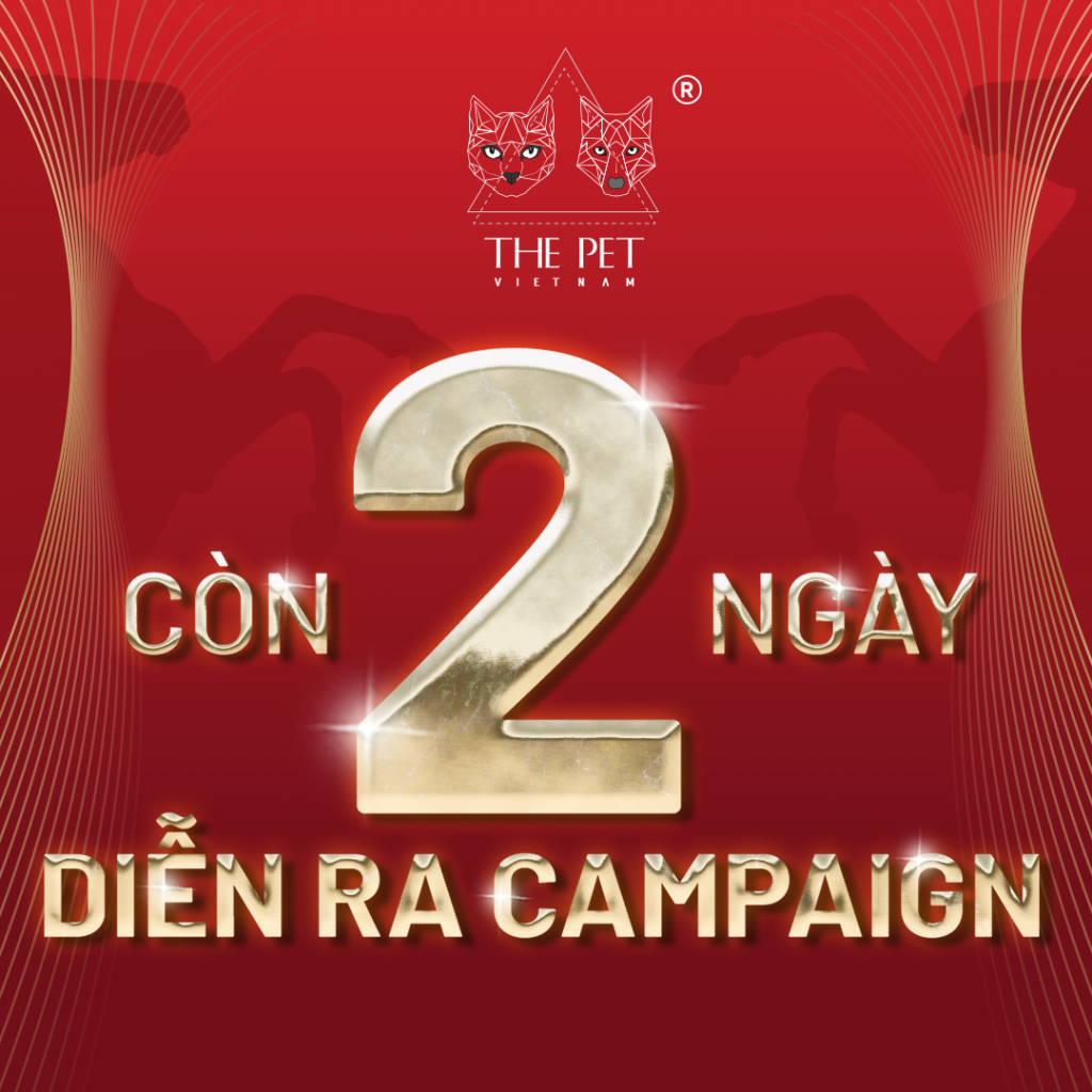 DEM NGUOC TET 2026 1 1