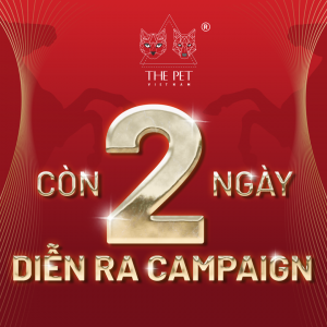 DEM NGUOC TET 2026 1 1