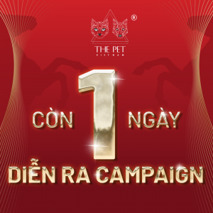 DEM NGUOC TET 2026 2 1