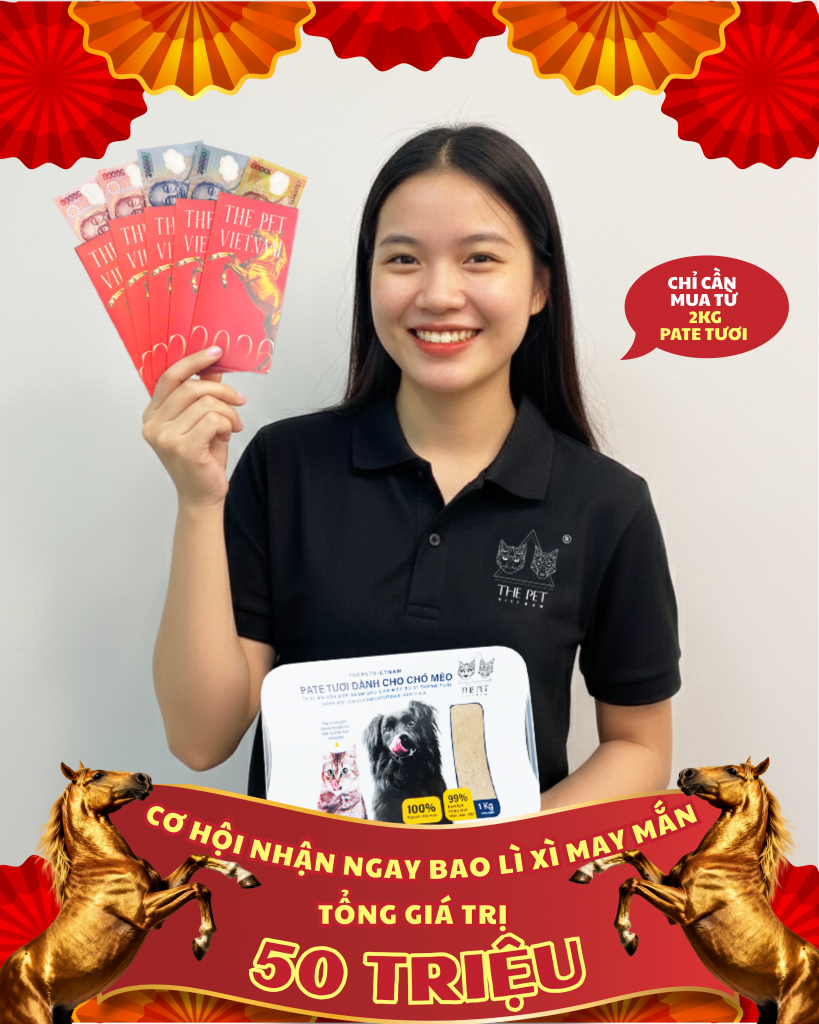 Noi dung doan van ban cua ban 960 x 1200 px 4