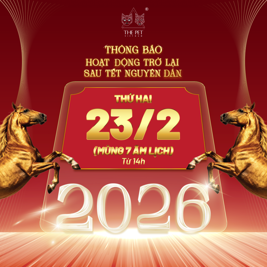 THEPET HOAT DONG TRO LAI