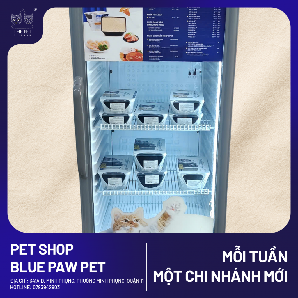 Thiet ke chua co ten 10