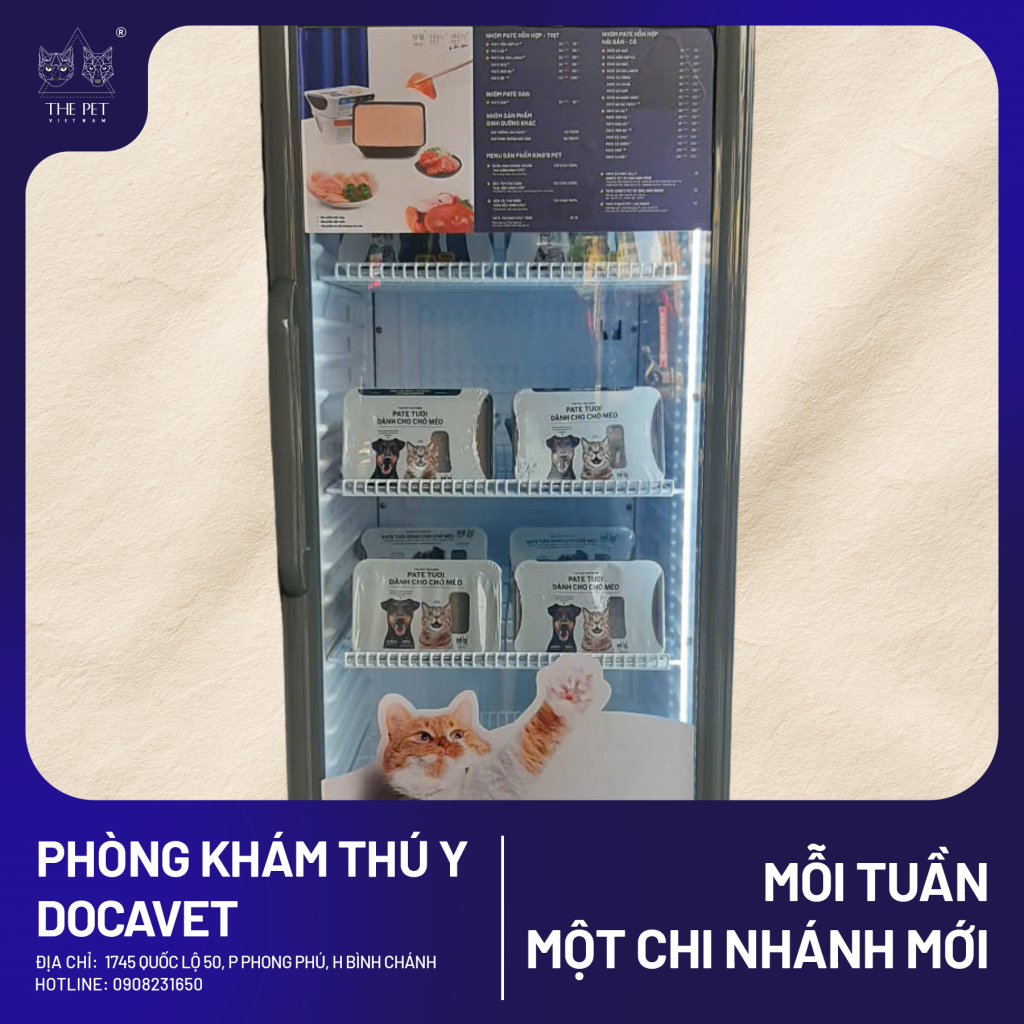 Thiet ke chua co ten 20