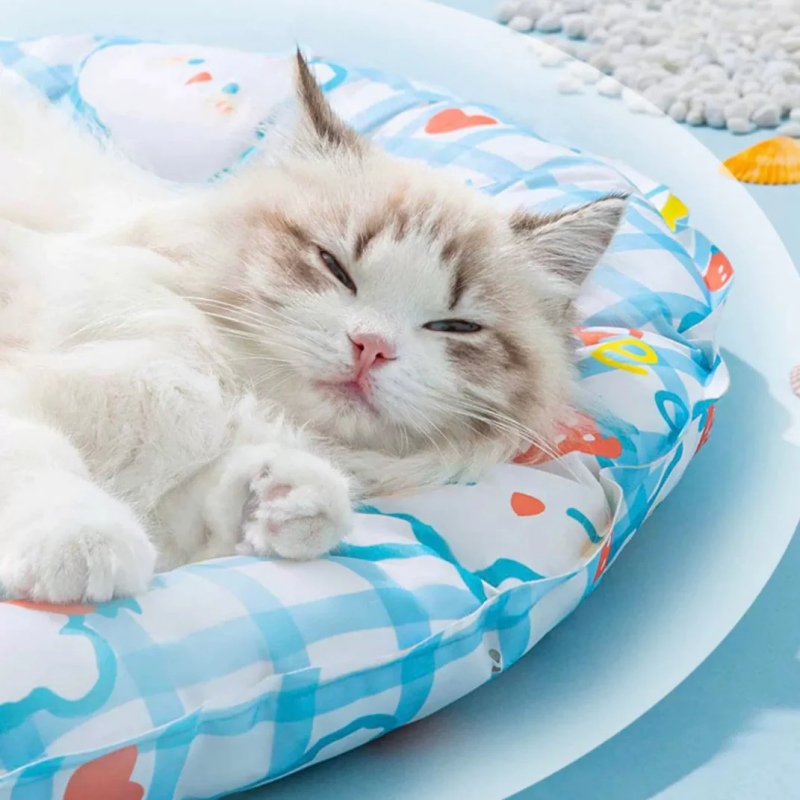 Chó mèo sốc nhiệt nguy hiểm như thế nào và cách cứu kịp thời