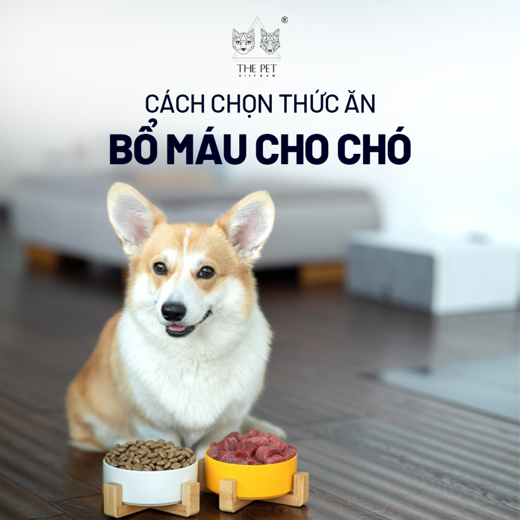 thuc an bo mau cho cho