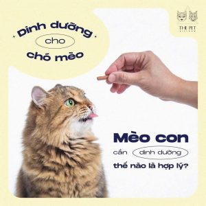 z7402868888767 167fb7f283583f00610735534ca12d69