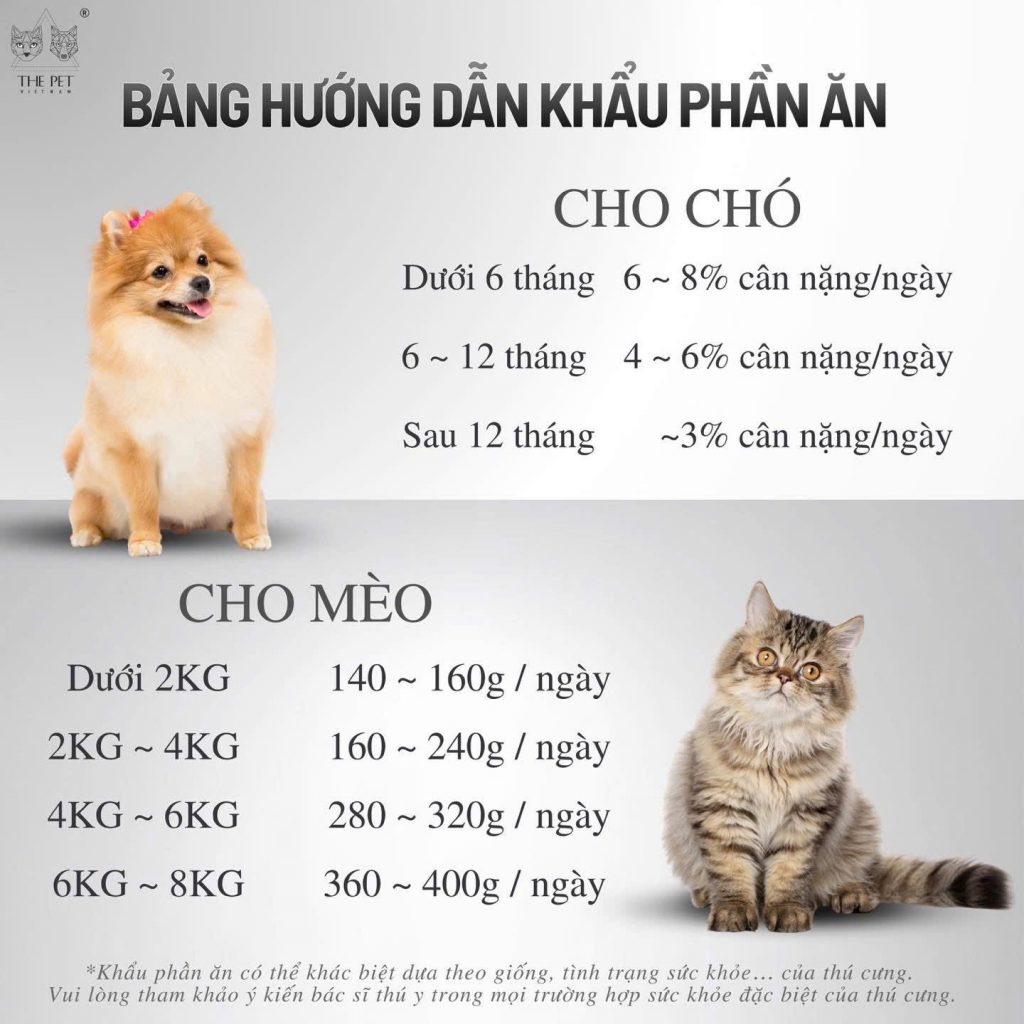 Khẩu Phần Ăn Cho Chó Mèo Bao Nhiêu Là Đủ? Sai Lầm Phổ Biến Nhiều Sen Mắc Phải 1 z7616526946515 0a35d8bd83dfc00f9ca1ed3541dcea50
