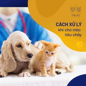 z7628713602204 e232fe40c414a5041677afb4baa4bfc1