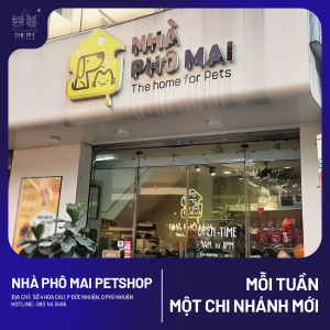 Chó mèo tại Phú Nhuận