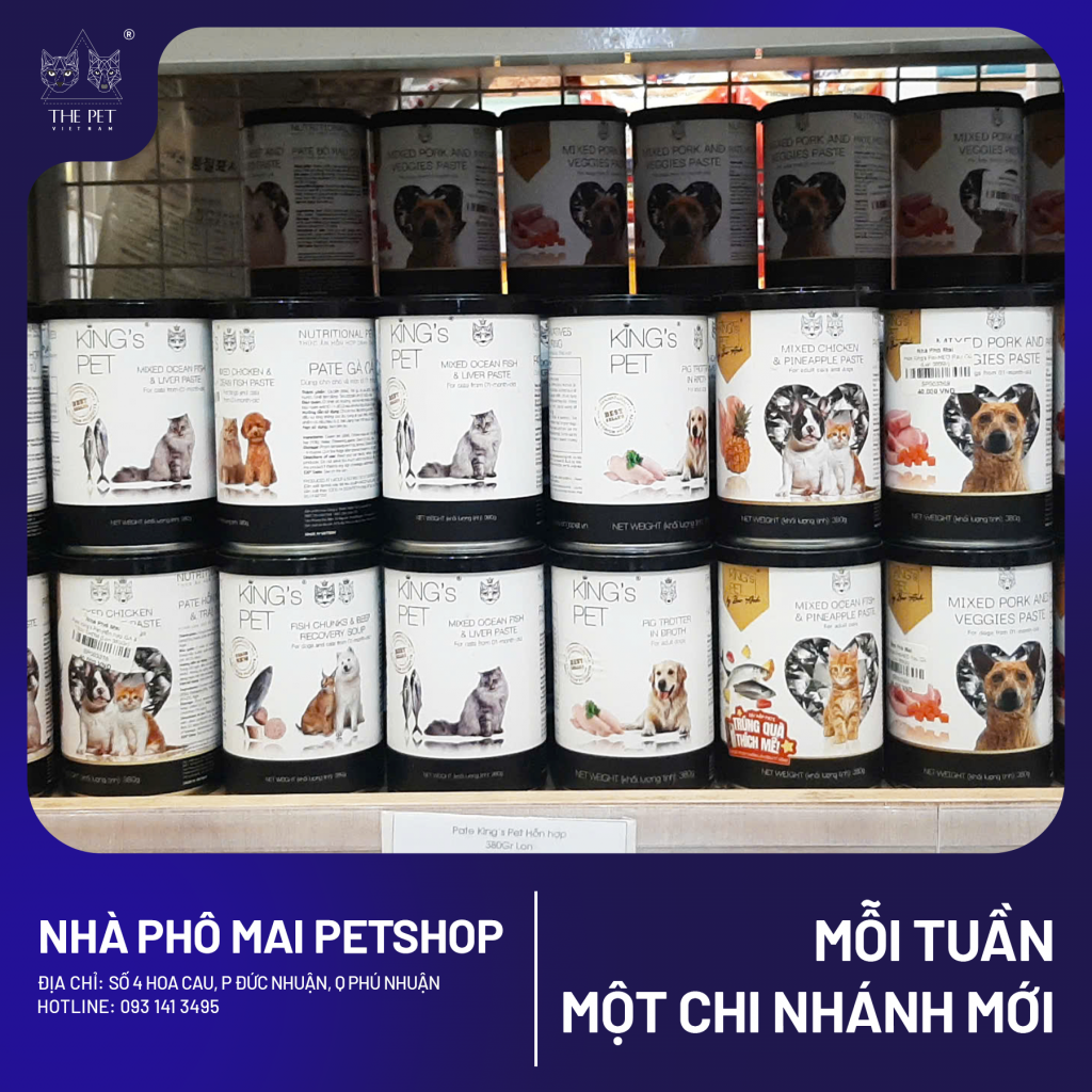 Chó mèo tại Phú Nhuận