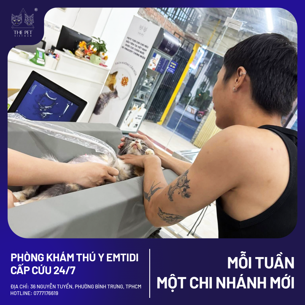 Phòng Khám Thú Y EMTIDI Quận 2 – Địa Điểm Chăm Sóc Thú Cưng Và Mua Pate Tươi The Pet Vietnam 5 2 9