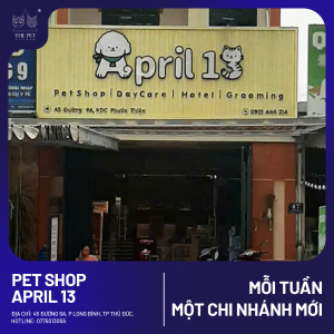 chó mèo tại Thủ Đức