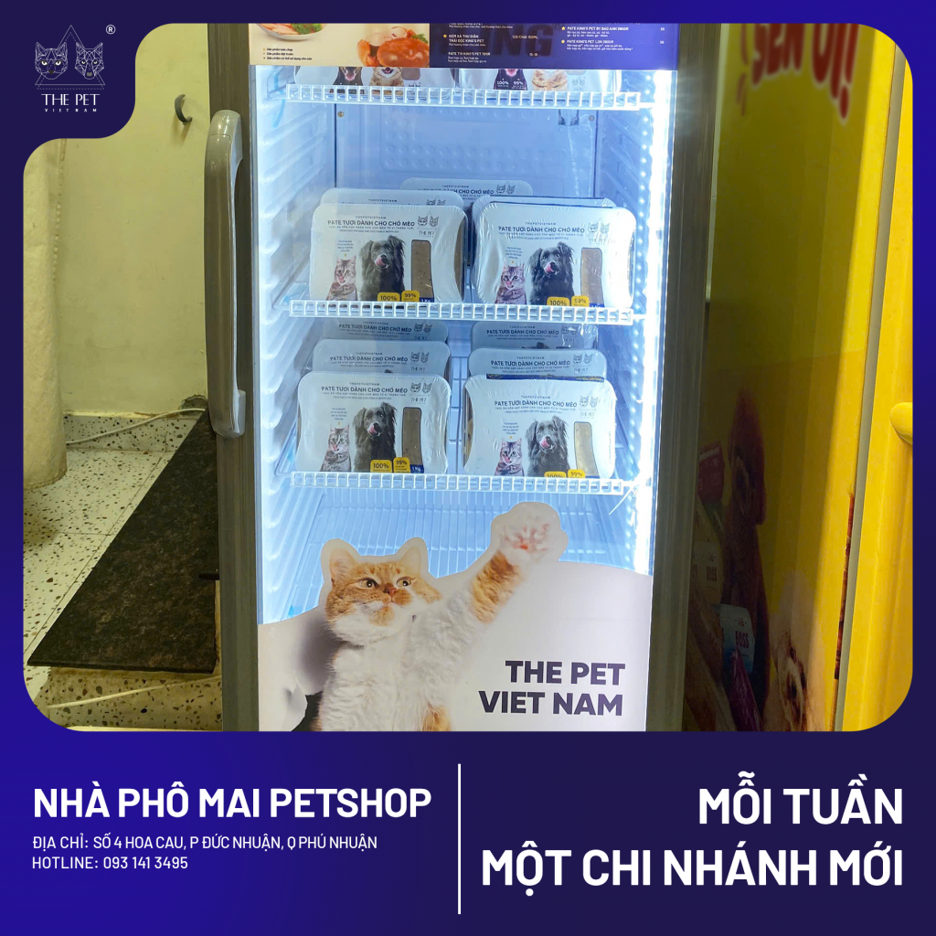 Chó mèo tại Phú Nhuận