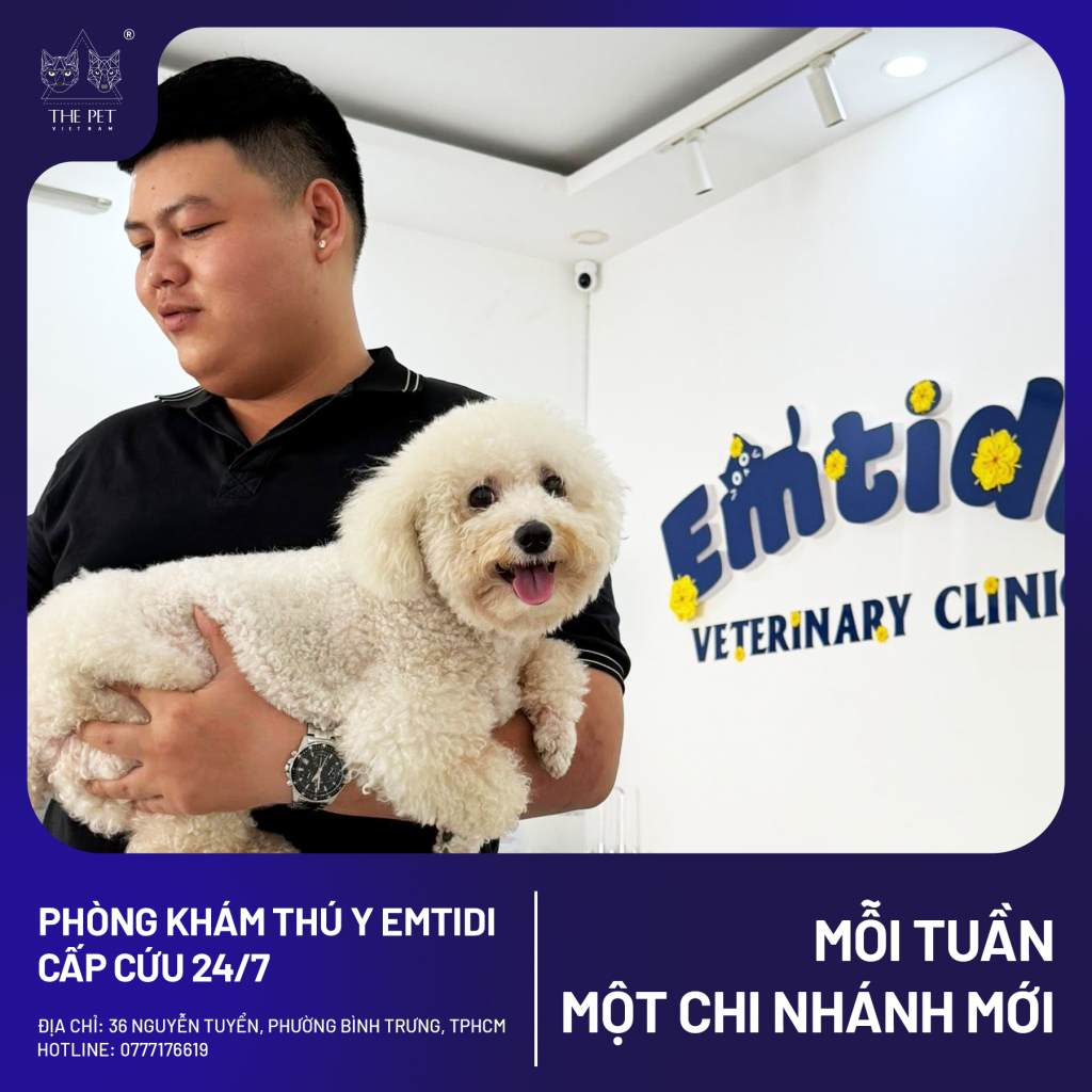 Phòng Khám Thú Y EMTIDI Quận 2 – Địa Điểm Chăm Sóc Thú Cưng Và Mua Pate Tươi The Pet Vietnam 2 5 9