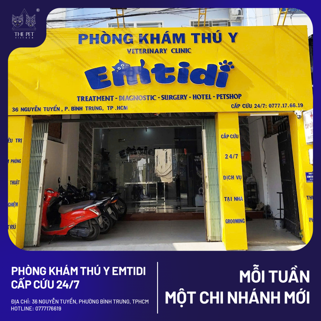 Phòng Khám Thú Y EMTIDI Quận 2 – Địa Điểm Chăm Sóc Thú Cưng Và Mua Pate Tươi The Pet Vietnam 1 6 7