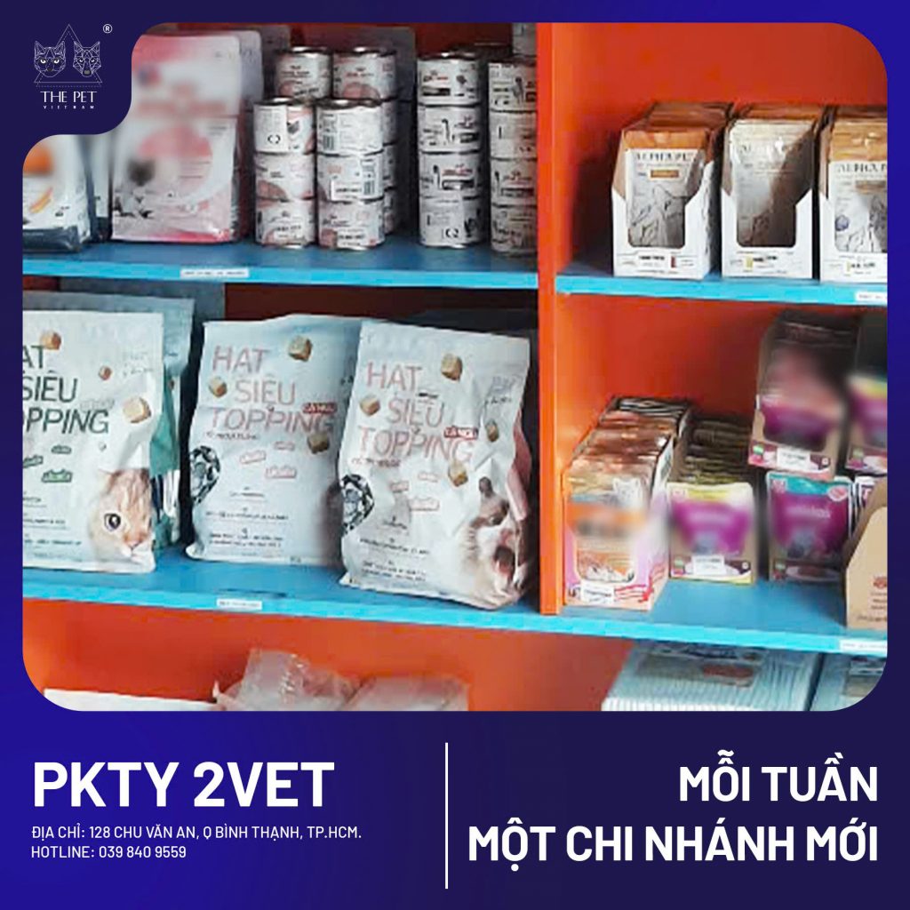 Chó mèo tại Bình Thạnh