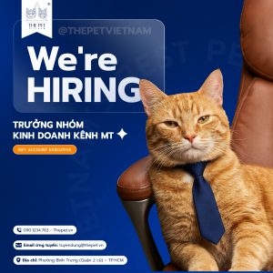 Key Account Executive