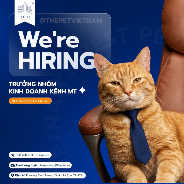 [On-site] Chuyên viên Marketing – Marketing Executive