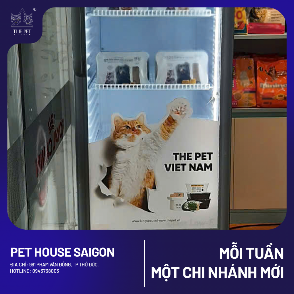 chăm chó mèo tại Thủ Đức