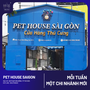 chăm chó mèo tại Thủ Đức