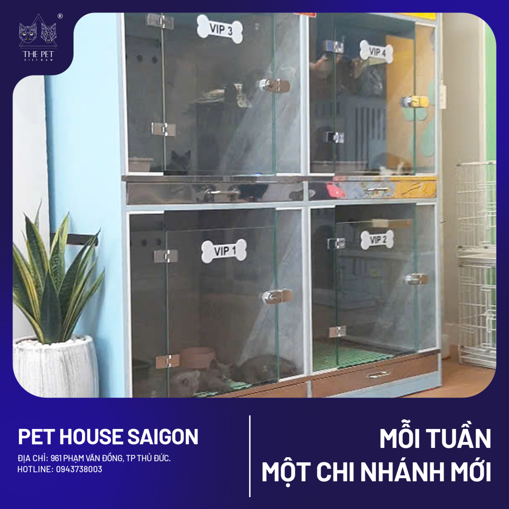 chăm chó mèo tại Thủ Đức