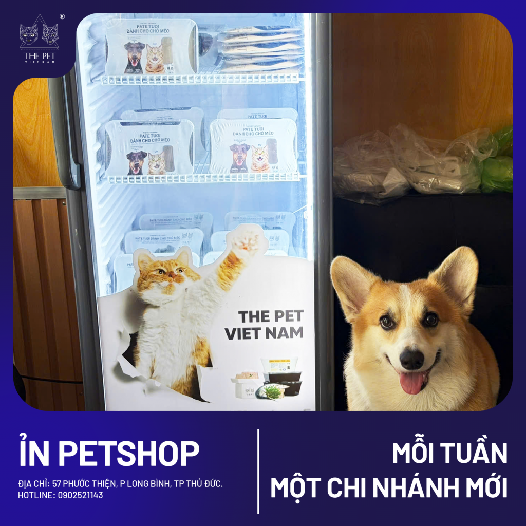 chó mèo tại khu vực Thủ Đức