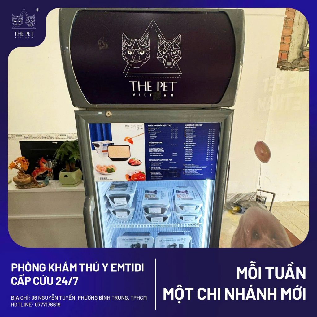 chó mèo tại quận 2