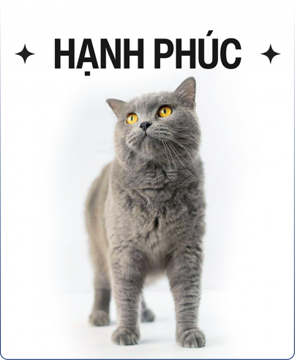 Hạnh Phúc