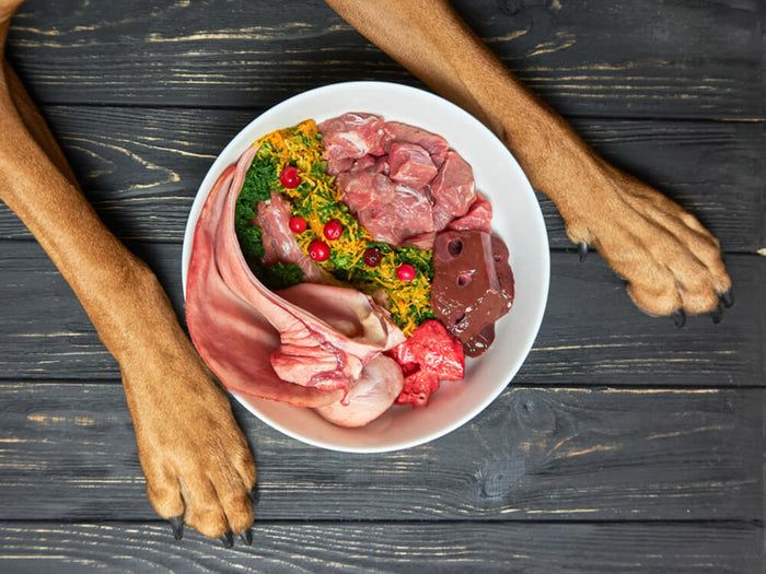 thức ăn chó mèo