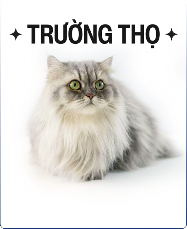 Trường Thọ